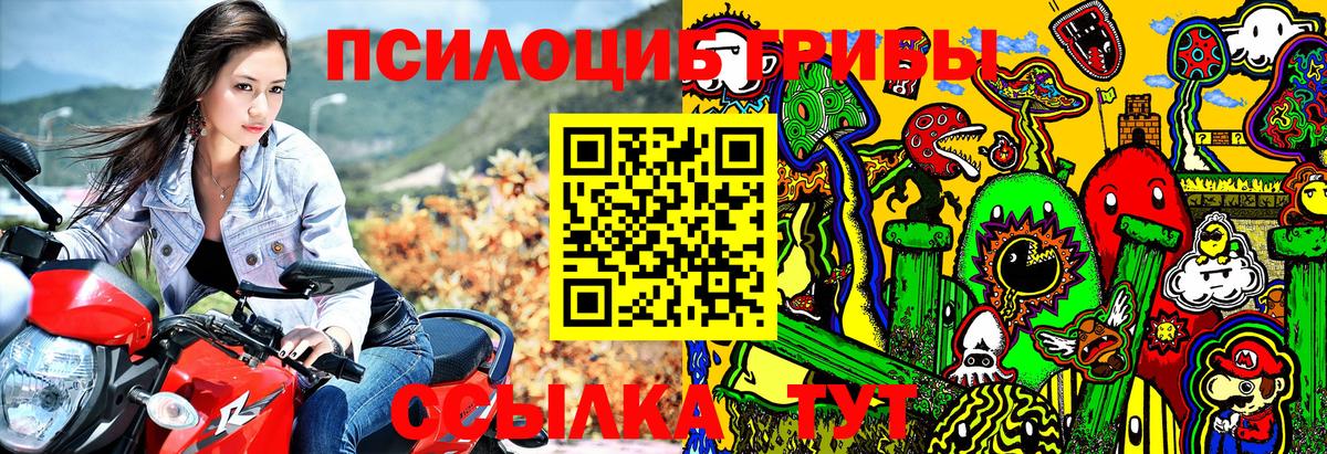 Псилоцибиновые грибы Cubensis Фрязино